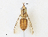  ( - BIOUG64513-A09)  @11 [ ] CreativeCommons - Attribution Share - Alike (2024) CBG Photography Group Centre for Biodiversity Genomics