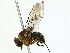  ( - BIOUG89926-C02)  @11 [ ] CreativeCommons - Attribution (2022) CBG Photography Group Centre for Biodiversity Genomics