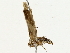  ( - BIOUG89926-E01)  @11 [ ] CreativeCommons - Attribution (2022) CBG Photography Group Centre for Biodiversity Genomics