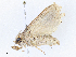  ( - CBG-A10766-B10)  @11 [ ] CreativeCommons - Attribution Share - Alike (2023) CBG Photography Group Centre for Biodiversity Genomics