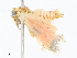  ( - CBG-A10768-A09)  @11 [ ] CreativeCommons - Attribution Share - Alike (2023) CBG Photography Group Centre for Biodiversity Genomics