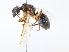  ( - CBG-A10769-H07)  @11 [ ] CreativeCommons - Attribution Share-Alike (2023) CBG Photography Group Centre for Biodiversity Genomics