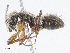  ( - CBG-A10772-E05)  @11 [ ] CreativeCommons - Attribution Share - Alike (2023) CBG Photography Group Centre for Biodiversity Genomics