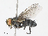  ( - CBG-A13242-C10)  @11 [ ] CreativeCommons - Attribution Share - Alike (2023) CBG Photography Group Centre for Biodiversity Genomics