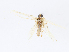  ( - CBG-A13291-D09)  @11 [ ] CreativeCommons - Attribution Share - Alike (2023) CBG Photography Group Centre for Biodiversity Genomics