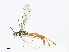 ( - CBG-A14957-B08)  @11 [ ] CreativeCommons - Attribution Share - Alike (2023) CBG Photography Group Centre for Biodiversity Genomics