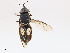  ( - CBG-A14957-G03)  @11 [ ] CreativeCommons - Attribution Share - Alike (2023) CBG Photography Group Centre for Biodiversity Genomics