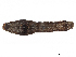  ( - CBG-A14957-H09)  @11 [ ] CreativeCommons - Attribution Share - Alike (2023) CBG Photography Group Centre for Biodiversity Genomics