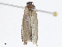  ( - CBG-A13303-A04)  @11 [ ] CreativeCommons - Attribution Share - Alike (2023) CBG Photography Group Centre for Biodiversity Genomics