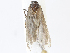  ( - CBG-A13303-A11)  @11 [ ] CreativeCommons - Attribution Share - Alike (2023) CBG Photography Group Centre for Biodiversity Genomics