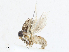  ( - CBG-A13303-B01)  @11 [ ] CreativeCommons - Attribution Share - Alike (2023) CBG Photography Group Centre for Biodiversity Genomics