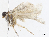  ( - CBG-A13303-B02)  @11 [ ] CreativeCommons - Attribution Share - Alike (2023) CBG Photography Group Centre for Biodiversity Genomics