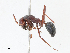  ( - CBG-A13303-B11)  @11 [ ] CreativeCommons - Attribution Share - Alike (2023) CBG Photography Group Centre for Biodiversity Genomics