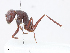  ( - CBG-A13303-G07)  @11 [ ] CreativeCommons - Attribution Share - Alike (2023) CBG Photography Group Centre for Biodiversity Genomics