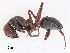  ( - CBG-A13303-G08)  @11 [ ] CreativeCommons - Attribution Share - Alike (2023) CBG Photography Group Centre for Biodiversity Genomics