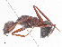  ( - CBG-A13303-H05)  @11 [ ] CreativeCommons - Attribution Share - Alike (2023) CBG Photography Group Centre for Biodiversity Genomics
