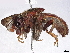  ( - BIOUG27786-E05)  @11 [ ] CreativeCommons - Attribution (2022) CBG Photography Group Centre for Biodiversity Genomics
