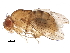  ( - BIOUG23358-B03)  @11 [ ] CreativeCommons - Attribution (2016) CBG Photography Group Centre for Biodiversity Genomics