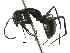  (Polyrhachis paracamponota - BIOUG24624-B07)  @14 [ ] CreativeCommons - Attribution (2016) CBG Photography Group Centre for Biodiversity Genomics