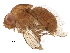  ( - BIOUG24470-F03)  @11 [ ] CreativeCommons - Attribution (2016) CBG Photography Group Centre for Biodiversity Genomics
