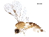  ( - BIOUG25161-H08)  @13 [ ] CreativeCommons - Attribution (2018) CBG Photography Group Centre for Biodiversity Genomics