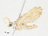  ( - BIOUG95292-E08)  @11 [ ] CreativeCommons - Attribution Share - Alike (2023) CBG Photography Group Centre for Biodiversity Genomics