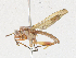  ( - BIOUG95298-G04)  @11 [ ] CreativeCommons - Attribution Share-Alike (2023) CBG Photography Group Centre for Biodiversity Genomics