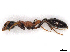  ( - CBG-A05397-H08)  @11 [ ] CreativeCommons - Attribution Share - Alike (2023) CBG Photography Group Centre for Biodiversity Genomics