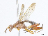 ( - CBG-A06244-C05)  @11 [ ] CreativeCommons - Attribution Share - Alike (2023) CBG Photography Group Centre for Biodiversity Genomics