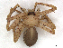  ( - CBG-A27640-H02)  @11 [ ] CreativeCommons - Attribution Share-Alike (2024) CBG Photography Group Centre for Biodiversity Genomics