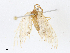  ( - CBG-A10789-B08)  @11 [ ] CreativeCommons - Attribution Share - Alike (2023) CBG Photography Group Centre for Biodiversity Genomics