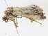  ( - CBG-A10789-D09)  @11 [ ] CreativeCommons - Attribution Share - Alike (2023) CBG Photography Group Centre for Biodiversity Genomics