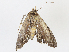  ( - CBG-A10791-B09)  @11 [ ] CreativeCommons - Attribution Share - Alike (2023) CBG Photography Group Centre for Biodiversity Genomics