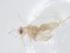  ( - CBG-A17770-C03)  @11 [ ] CreativeCommons - Attribution Share - Alike (2023) Centre for Biodiversity Genomics Centre for Biodiversity Genomics