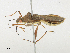  ( - CBG-A21619-G09)  @11 [ ] CreativeCommons - Attribution Share-Alike (2023) CBG Photography Group Centre for Biodiversity Genomics