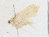  ( - BIOUG95297-B03)  @11 [ ] CreativeCommons - Attribution Share-Alike (2023) CBG Photography Group Centre for Biodiversity Genomics