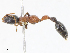  ( - CBG-A10830-B07)  @11 [ ] CreativeCommons - Attribution Share - Alike (2023) CBG Photography Group Centre for Biodiversity Genomics