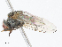  ( - CBG-A10830-C12)  @11 [ ] CreativeCommons - Attribution Share - Alike (2023) CBG Photography Group Centre for Biodiversity Genomics