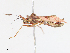  ( - CBG-A10830-D02)  @11 [ ] CreativeCommons - Attribution Share - Alike (2023) CBG Photography Group Centre for Biodiversity Genomics