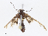  ( - CBG-A10830-D06)  @11 [ ] CreativeCommons - Attribution Share - Alike (2023) CBG Photography Group Centre for Biodiversity Genomics