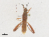  ( - CBG-A21617-E01)  @11 [ ] CreativeCommons - Attribution Share-Alike (2023) CBG Photography Group Centre for Biodiversity Genomics