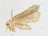  ( - BIOUG95296-D04)  @11 [ ] CreativeCommons - Attribution Share-Alike (2023) CBG Photography Group Centre for Biodiversity Genomics