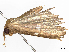  ( - CBG-A10792-A05)  @11 [ ] CreativeCommons - Attribution Share - Alike (2023) CBG Photography Group Centre for Biodiversity Genomics