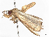  ( - CBG-A10792-A07)  @11 [ ] CreativeCommons - Attribution Share - Alike (2023) CBG Photography Group Centre for Biodiversity Genomics
