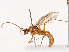  ( - CBG-B01170-C02)  @11 [ ] CreativeCommons - Attribution Share - Alike (2025) CBG Photography Group Centre for Biodiversity Genomics