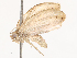  ( - CBG-B01173-G05)  @11 [ ] CreativeCommons - Attribution Share - Alike (2025) CBG Photography Group Centre for Biodiversity Genomics