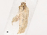  ( - CBG-B02341-A11)  @11 [ ] CreativeCommons - Attribution Share - Alike (2025) CBG Photography Group Centre for Biodiversity Genomics