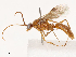  ( - CBG-B02341-D07)  @11 [ ] CreativeCommons - Attribution Share - Alike (2025) CBG Photography Group Centre for Biodiversity Genomics
