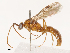  ( - CBG-B02341-D09)  @11 [ ] CreativeCommons - Attribution Share - Alike (2025) CBG Photography Group Centre for Biodiversity Genomics