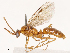  ( - CBG-B02341-D10)  @11 [ ] CreativeCommons - Attribution Share - Alike (2025) CBG Photography Group Centre for Biodiversity Genomics